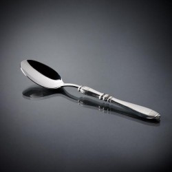 Сервировочная ложка Lutezia, 25 см