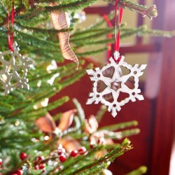 Neve Christmas Ornament (Set of 2) - 8.5 см  